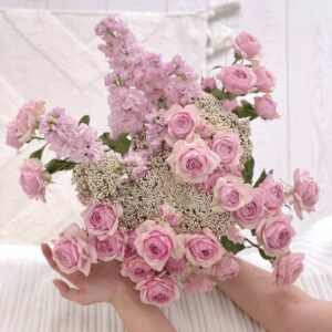 Розовое облако - Lathyrus